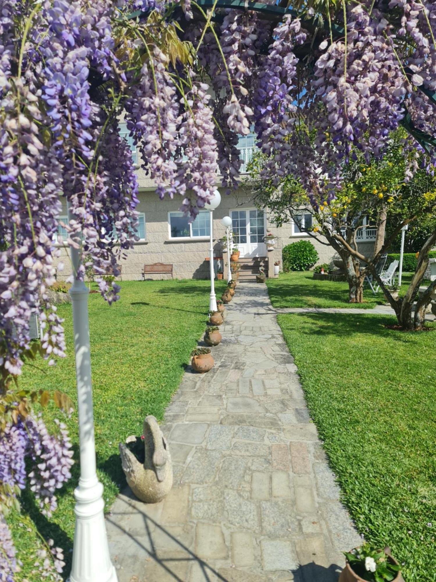 Casa A Pastora Guest House Cambados Ngoại thất bức ảnh